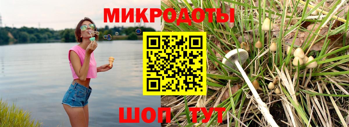 магазин продажи   Псилоцибиновые грибы мухоморы  Вход с VPN  Дзержинск 